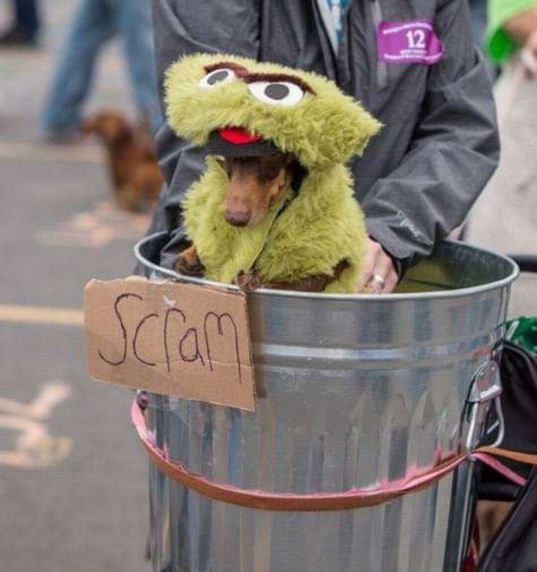 Dachtoberfest